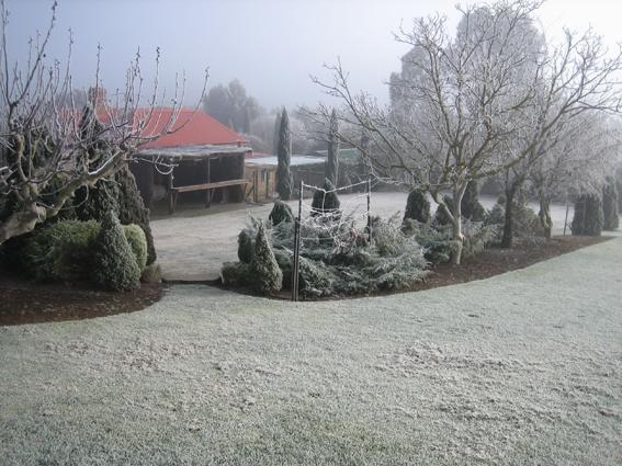 Vineyard Cottage Bnb Gumeracha Kültér fotó